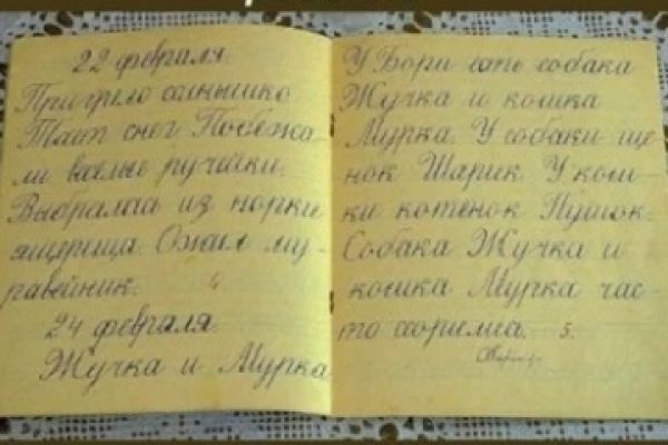 Кейс: обучение как поставить ребенку красивый и ровный почерк за 30 занятий и получать дополнительный доход, преподавая каллиграфию детям и взрослым!