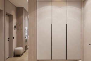 Дизайн интерьера прихожей  в квартире  ЖК "Брусника"