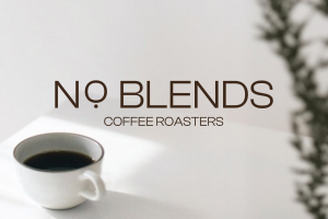 Логотип NO BLENDS