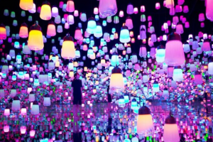 Куратор | Digital Art выставка и шоу