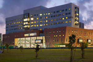 WEB | Крупнейшая медицинская клиника в Израиле