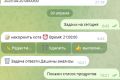 разработка telegram ботов