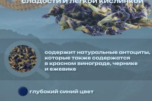 АнЧан