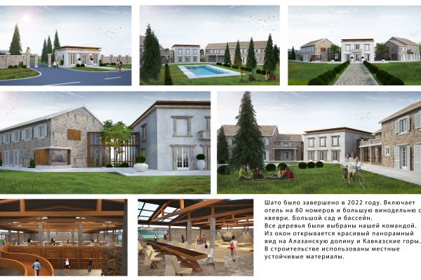 Шато в Санавардо, Кахетия.