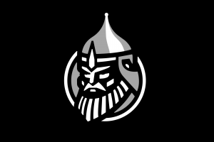 Логотип для любительской хоккейной команды - Дружина