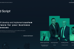 ИТ-ТЕХНОЛОГИИ Автоматизация бизнес-процессов