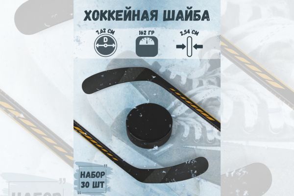 Инфографика для WB  "Хоккейная шайба"