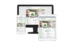 Евродом-бонус