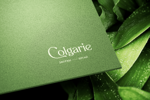 Разработка лого