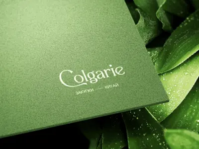Colgarie — айдентика для компании по закупкам в Китае