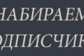 Живые подписчики
