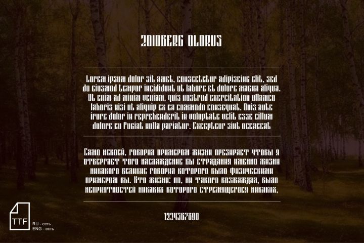 Разработка фирменного шрифта - 5443594
