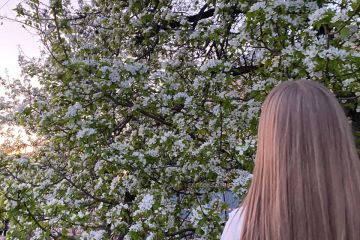 Редактор текстов