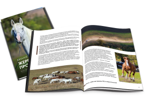 Буклет-каталог жеребцов для конзавода