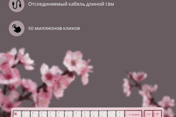Инфографика (клавиатура)