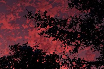 Редактор текста