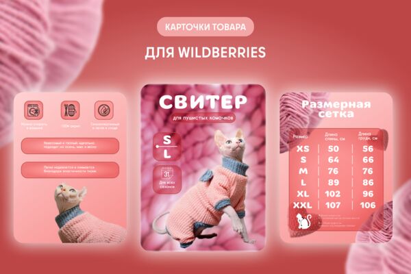 главная.png
