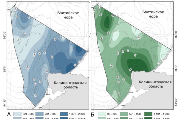 карта распределения биомассы для научного журнала