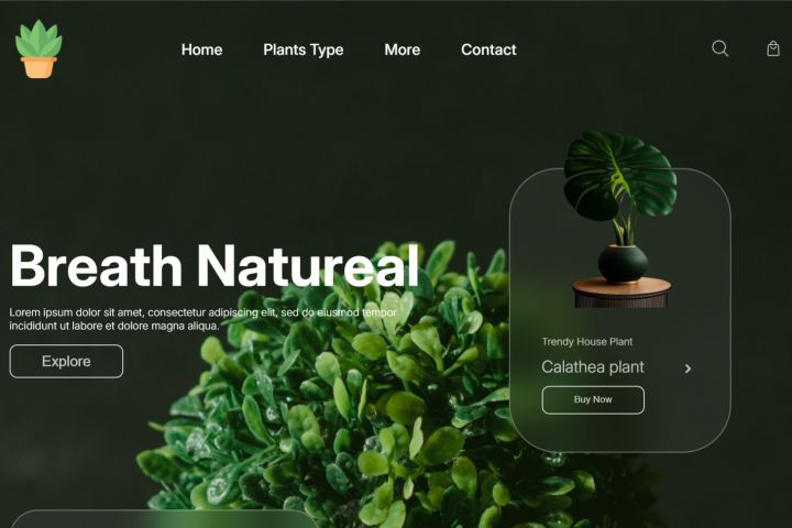 Разработка веб-сайта - 5445521