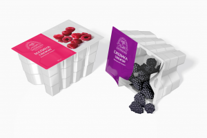 Логотип для компании по выращиванию ягоды