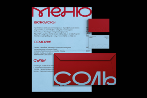 Соль - Фирменный стиль для гастробара