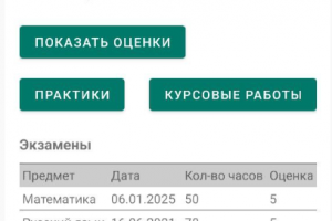 Мобильное приложение "Электронная зачетная книжка"