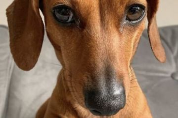 Редактор текстов