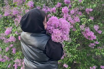 Редактор текстов