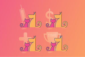 Разработка дизайна изображения для сайта