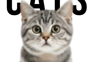 ПРИМЕРЫ РАБОТ