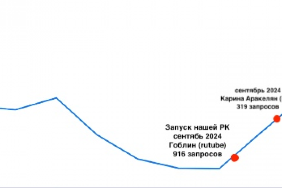 Продвижение вашего бренда 20 000 руб.  за 14 дней.. Елизавета Башунова