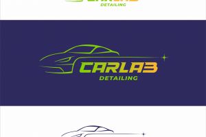 CarLab1