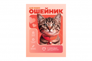 Ошейик инфографика