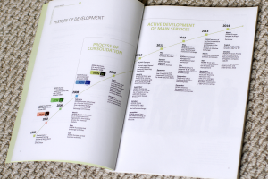 Разработка годового отчета