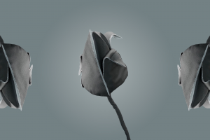 Создание видео-анонса новой коллекции для казахстанского бренда дизайнерской одежды SLT Addict