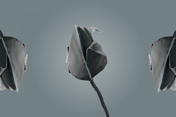 Создание видео-анонса новой коллекции для казахстанского бренда дизайнерской одежды SLT Addict