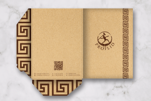 Папка для компании