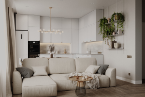 Кухня-гостиная