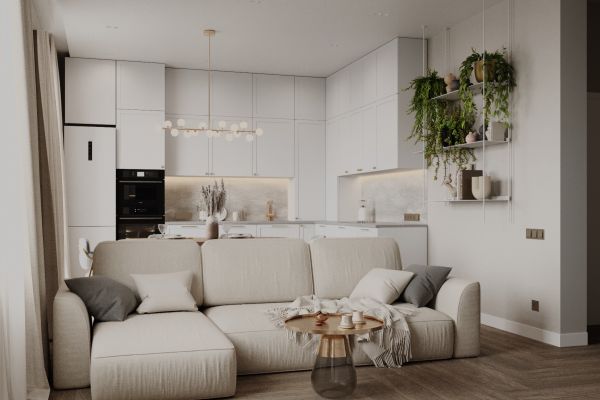 Кухня-гостиная