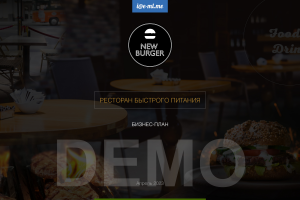 Презентация бизнеса для инвесторов