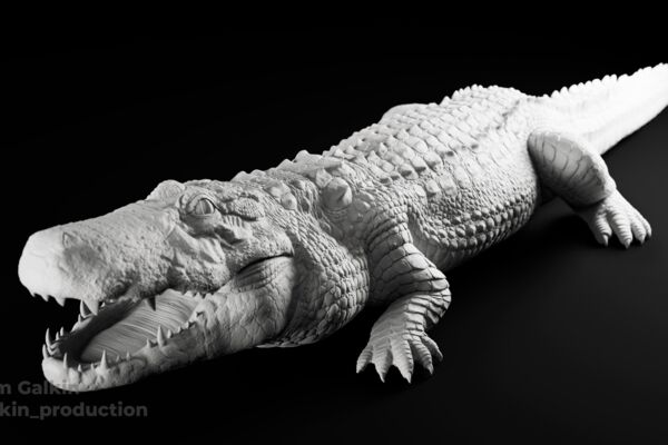 CROCK.png