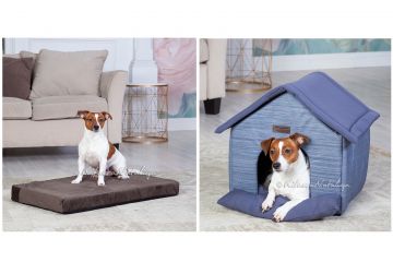 фотосъёмка товаров для животных, лежаков, одежды для собак