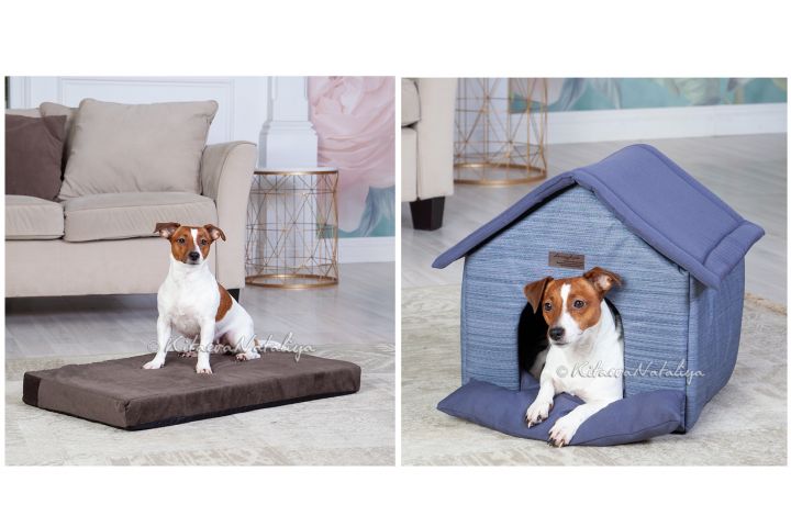 фотосъёмка товаров для животных, лежаков, одежды для собак - 5456856