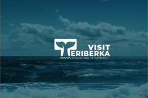 логотипом для VISIT TERIBERKA