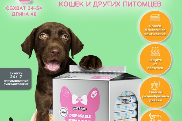 ИНФОГРАФИКА "ПОДГУЗНИКИ ДЛЯ СОБАК"