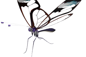 Создание стеклянной бабочки