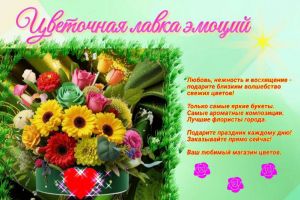 -5260242315556024984_120