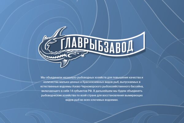 Снимок экрана_2025-05-21_17-34-20.png