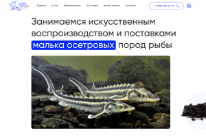 Малёк Осетра