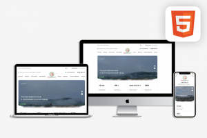 Адаптивная верстка – Татнефтехим